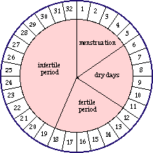 Fertility Wheel