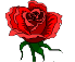 [rose]