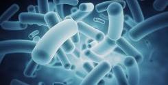 gut-bacteria-IBMResearch-flickr.jpg