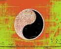 yin_yang_Gruenemann_flickr.jpg