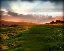 Field in the Sunrise