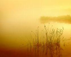 stillness-JamesJordan-flickr.jpg